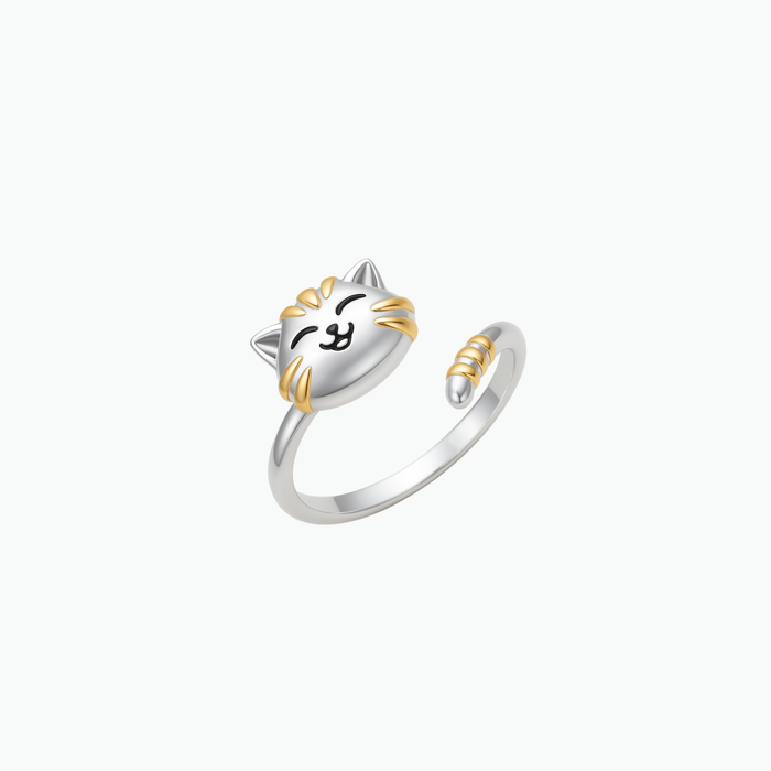 Mizu – Fidgetring